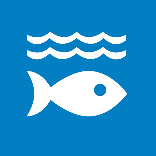 SDG 14: Life Below Water